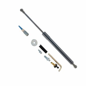 DZ43200 Tailgate Assist Fit For Ford F150