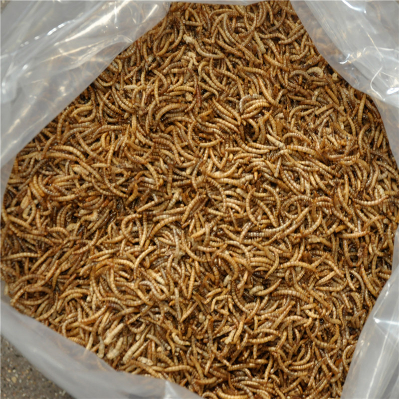 Manufactur standard Mealworms For Wild Birds - Yee Pet Snacks Shredded Coconut Without Suger Pet Healthy Food – Xinjie