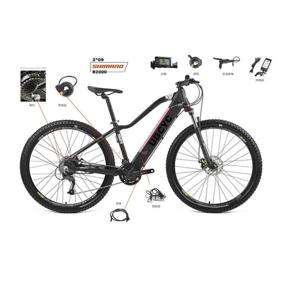 New lithium electric mountain bike male and female adult cross-country walking variable speed motor bike
