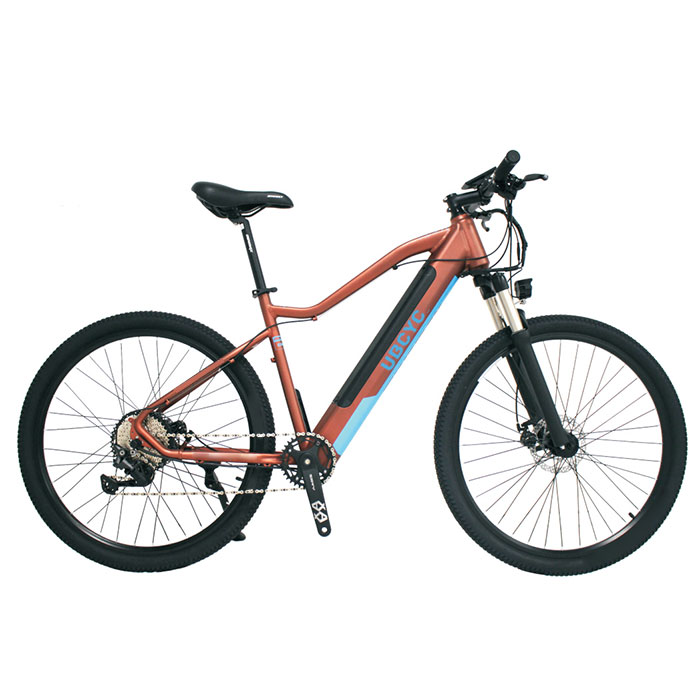 New Style Inner Lithium Battery Light Weight Aluminum Alloy Frame Electric Mountain Bike With LCD Display And Rear Carrier