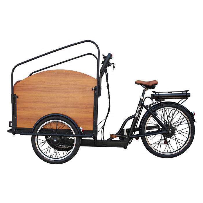 2021 new design electric tricycle 3 wheels cargo bike electric cargo bicycle ebike lasten fahrrad electric tricycles