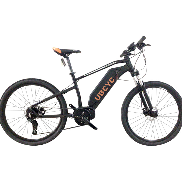 electric mountain bike 0013-2 (2)