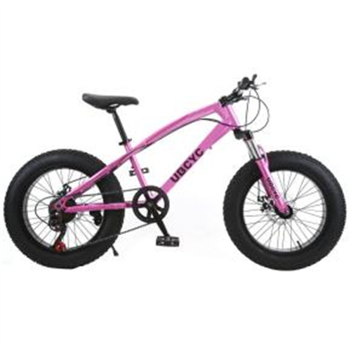 Hot selling 20inch steel frame snow bike 21 speed cheap mountain fat cruiser cycle for adult and children