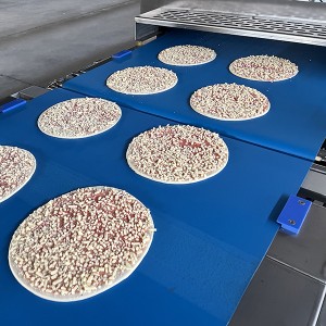 Fast Food Equipment Pizza Topping Line