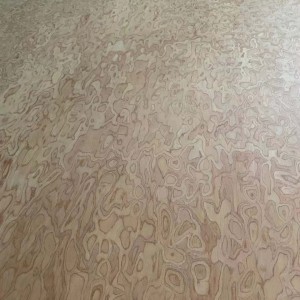 Professional Red Oak Sapele Wanult Teak Mersawa Parota EVveneer Fancy Plywood