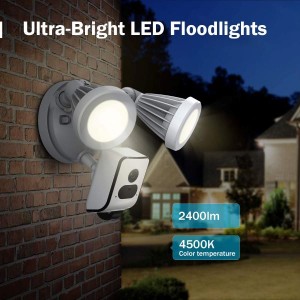 Security camera outdoor with floodlight