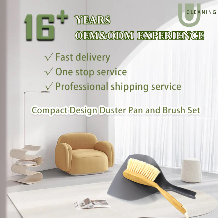 All Purpose  2 in 1 Popular Dustpan and Brush Set Featured Image