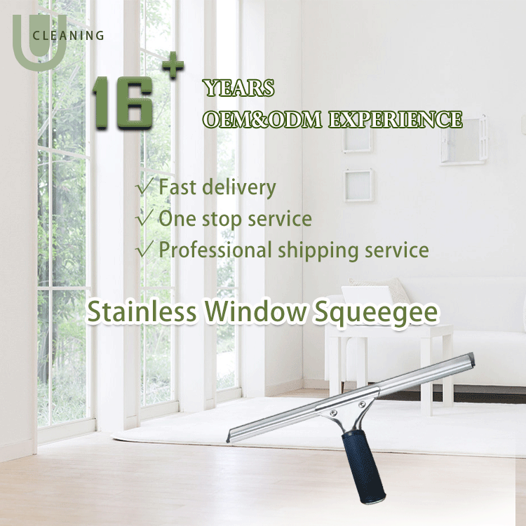 China ODM Stainless steel window squeegee