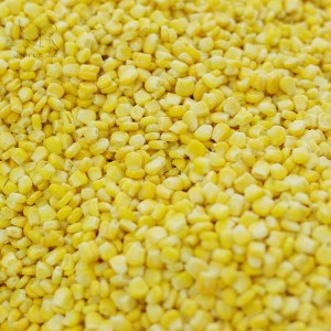 IQF sweet corn kernel