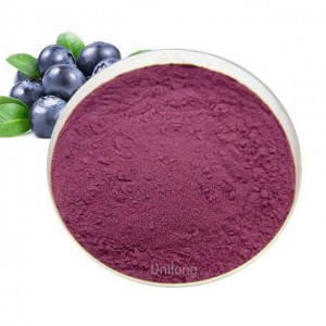 ສານສະກັດຈາກ Blueberry ດ້ວຍ Cas 84082-34-8