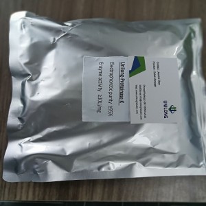 Low MOQ for Factory Supply CAS 39450-01-6 99% White Powder Proteinase K for DNA Extraction