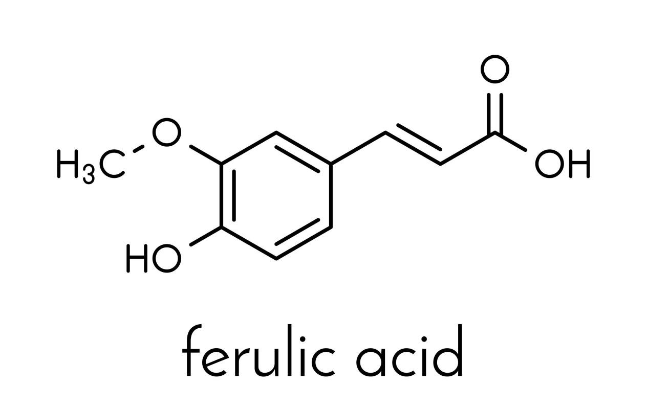 Bandorên Spî-Spîbûn û Dij-Pirbûnê yên Ferulic Acid