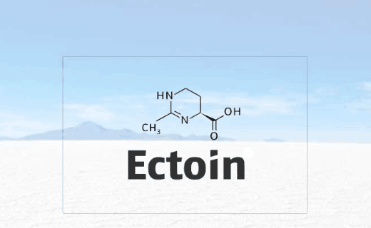 The guardian of the skin barrier – Ectoin