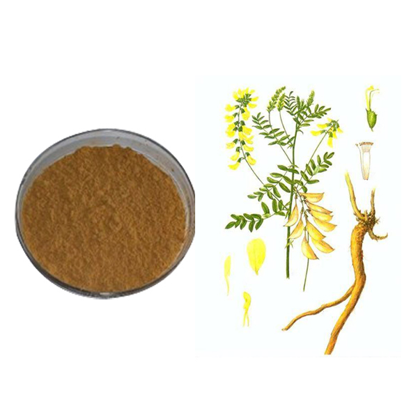 Astragalus Extract Featured Image