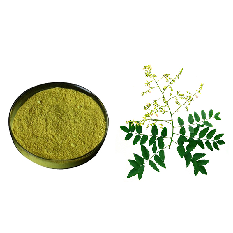 Botanical-Extract-Rutin-Quercetin-Powder-Sophora-Japonica-Extract-1