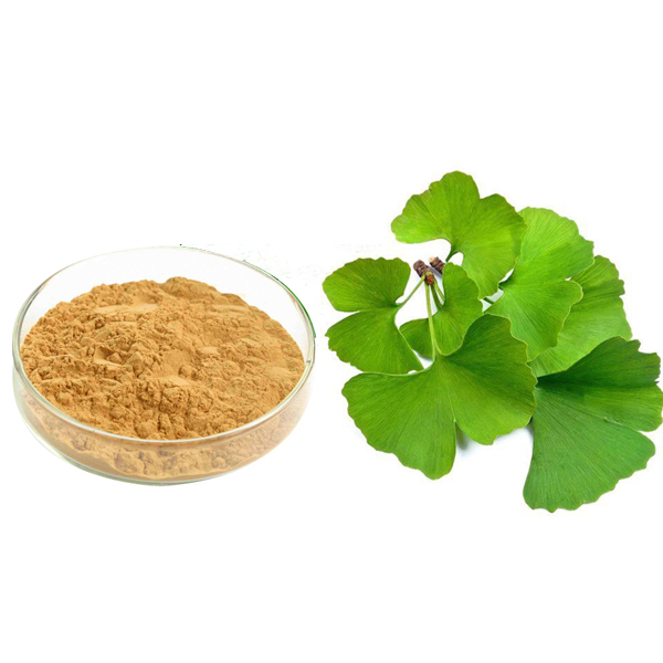Gingko Biloba Leaf Extract