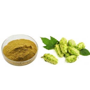 factory customized Tongkat Ali Powder Benefits - Hops Extract – Uniwell