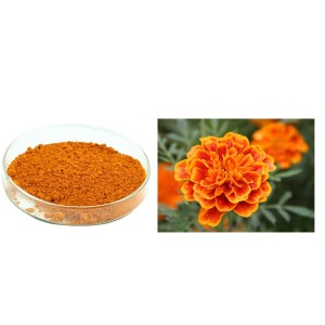 professional factory for List Of Herbal Extracts - Marigold Extract – Uniwell