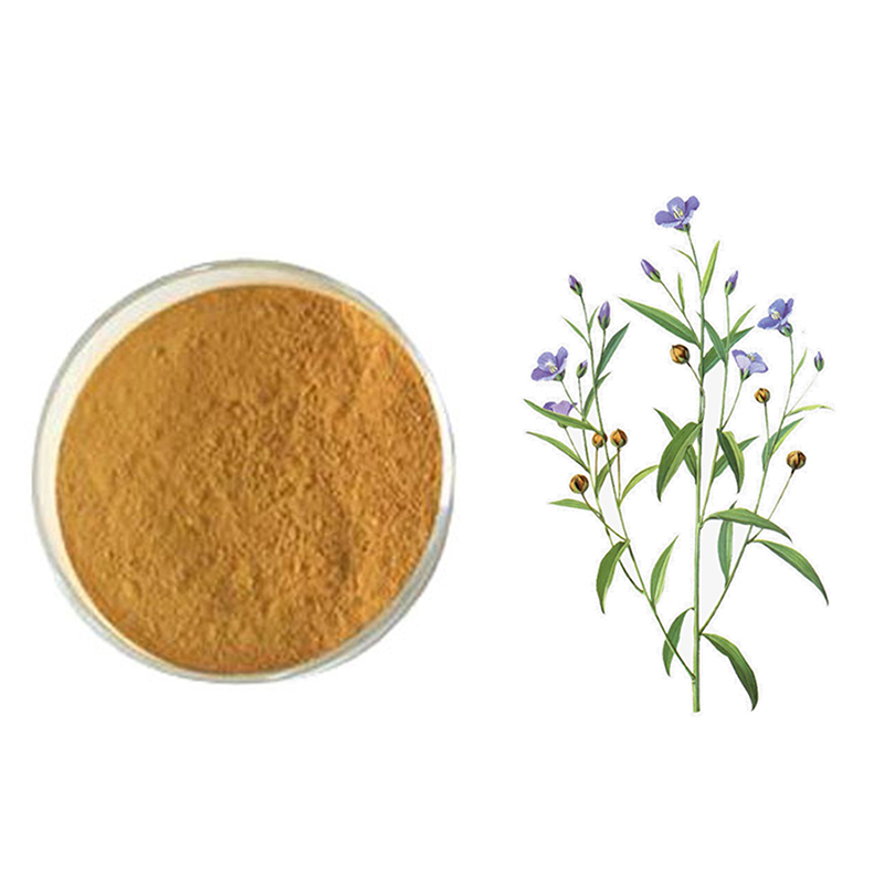 Special Design for China Flax Seed Extract/ Seco-Isolariciresinol Diglucoside/Lignans/Sdg