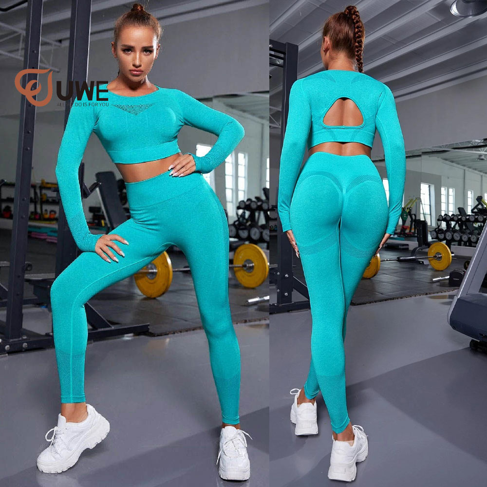 Sportswear Workout Gym Seamless Sleeve Yoga Set