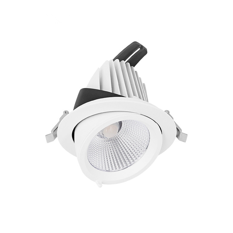 Rotatable Commercial Dali Dimmable LED COB 10/20/30/40/50W Adjustable LED Spotlight Ceiling Spotlights Featured Image