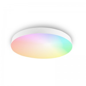 Super Purchasing for Surface Mounted Led Panel Lights - VACE Rgbww Wifi Bluetooth Music 24W Rgb Remote Control Smart Rgbcw Led Ceiling Lights by TUYA – VACE