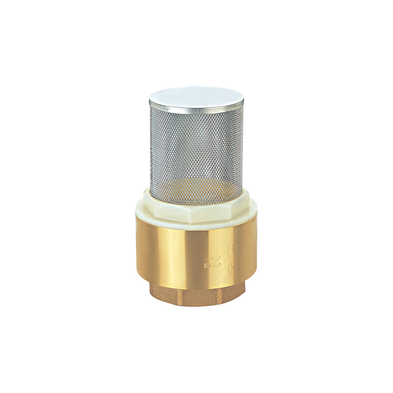 JL-1501.Check valve with a net__