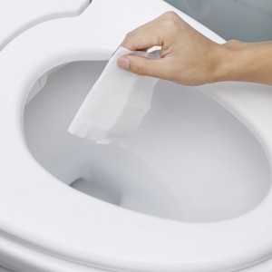 Household Cleaning Wet Toilet Papers
