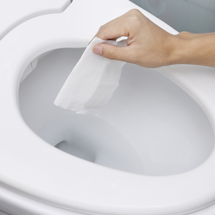 Household Cleaning Wet Toilet Papers Featured Image