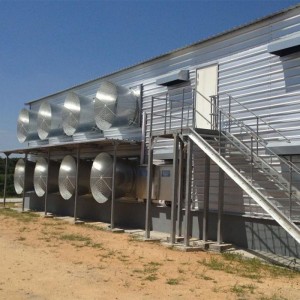 New Delivery for Chicken Farm House - low cost prefabricated steel structure house goat shed poultry farm design – Vanhe