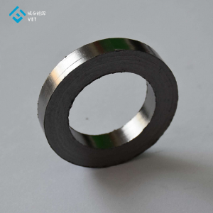Graphite seal ring for isostatic pressure water pump