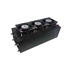 China Cheap price China 200W 21V Metal Bipolar Plate Air-Cooling Hydrogen Fuel Cell Stack