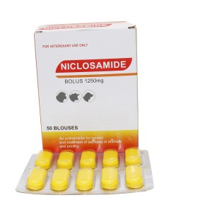 1250mg Niclosamide Bolus for Cattle