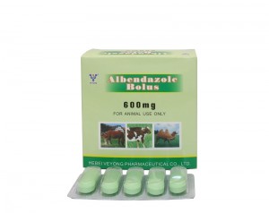 600mg Albendazole bolus for Cattle