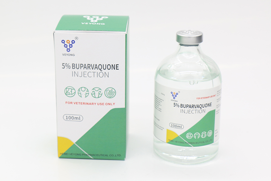 Hot Sale for China Buparvaquone Injection 5% for Veterinary Medicine