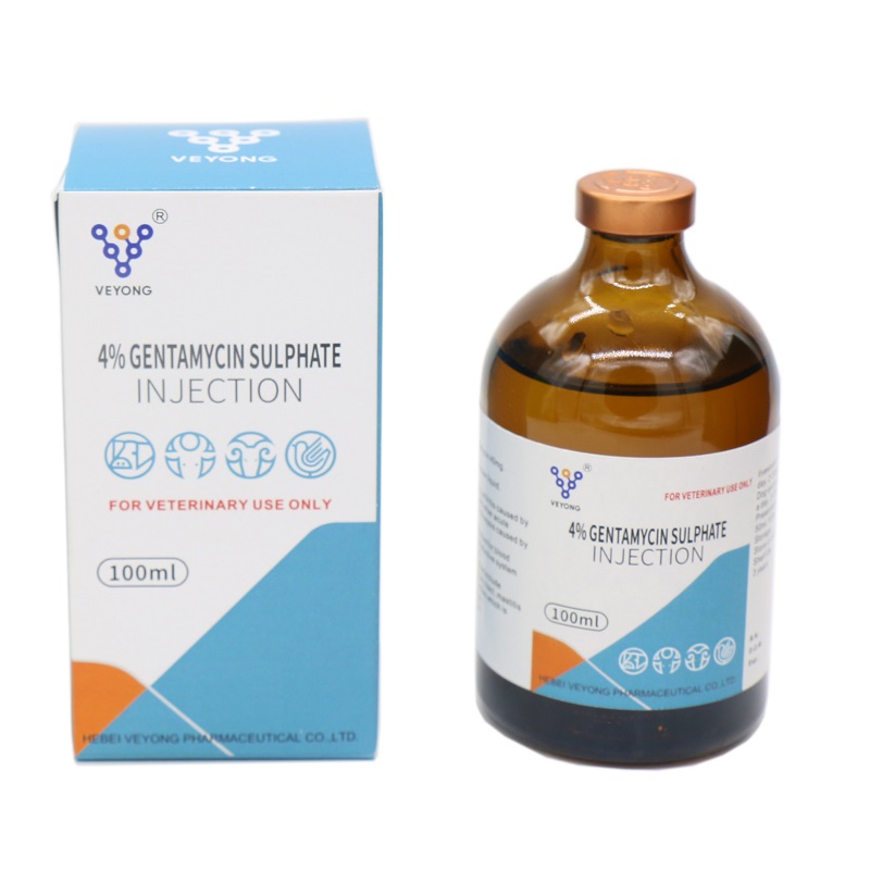 Gentamycin sulphate injection