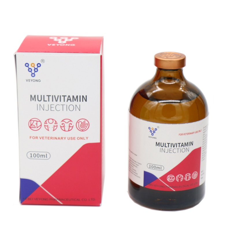 Multivitamin Injection for Veterinary
