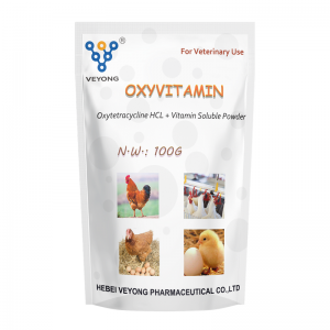 Oxytetracycline +Vitamin Soluble Powder
