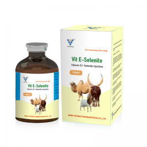 Vitamin E + Sodium Selenite Injection