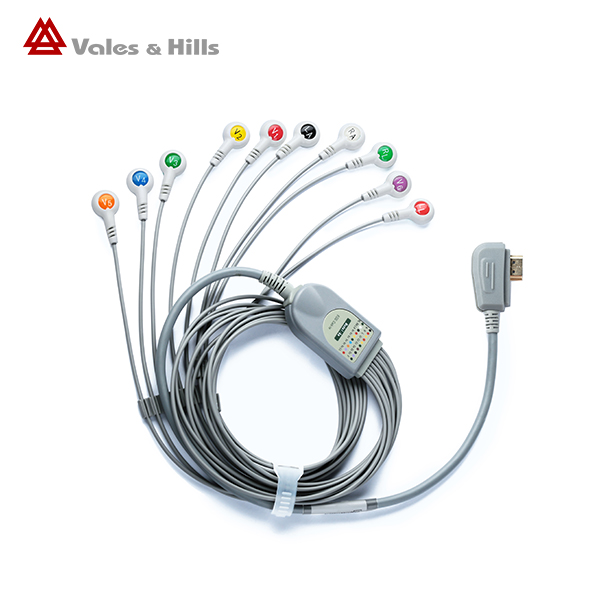 5-lead 10-lead ecg cable for holter ECG device