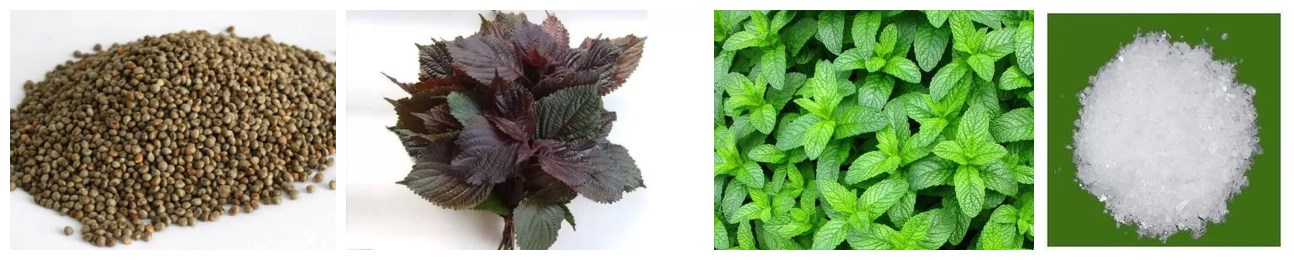 Perilla and Mint extract (1)