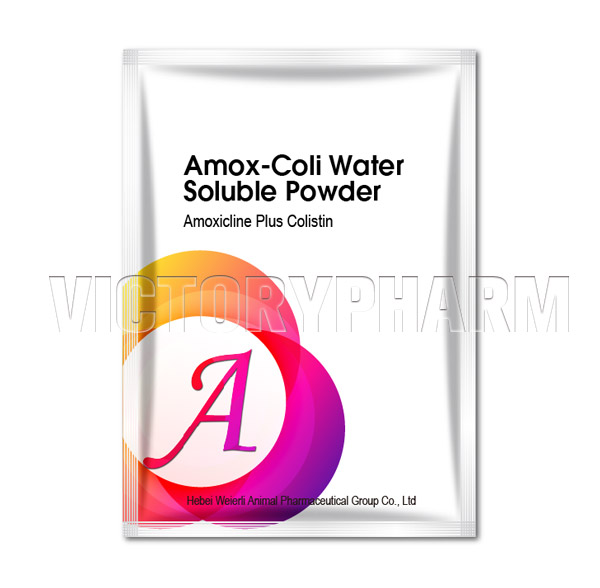 Amox-Coli WSP Water Soluable Powder For Poultry And Swine