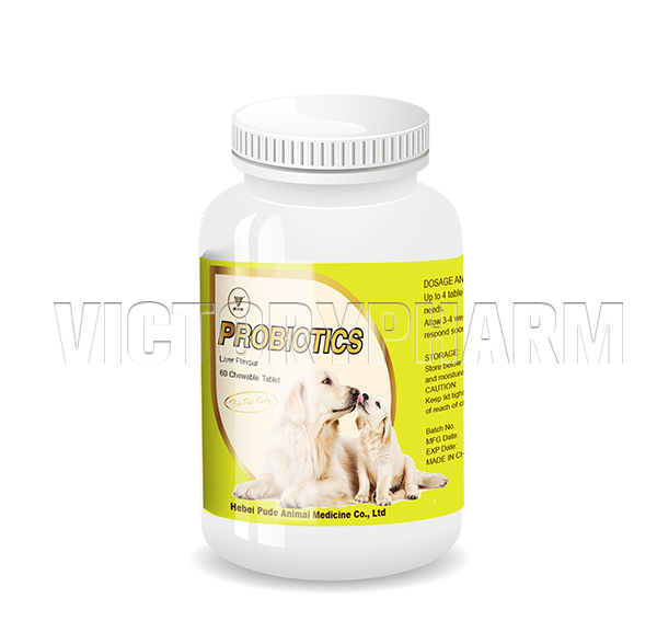 Hot Selling for Multivitamin And Mineral Tablets - Probiotics Tablet for Pet – Weierli