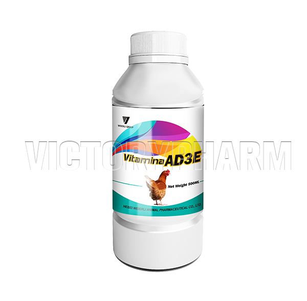100% Original Factory Pigeon Vitamin - VITAMIN AD3E  – Weierli
