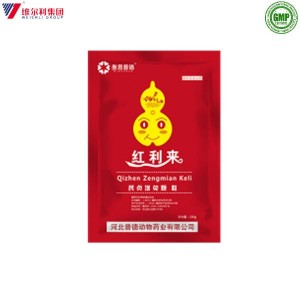 Poultry Herbal Medicine Increase Immunity Granule for Chickens