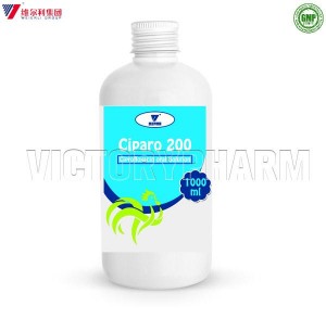 PriceList for China Veterinary Medicine 5% Ciprofloxacin Lactate Injection for Pig