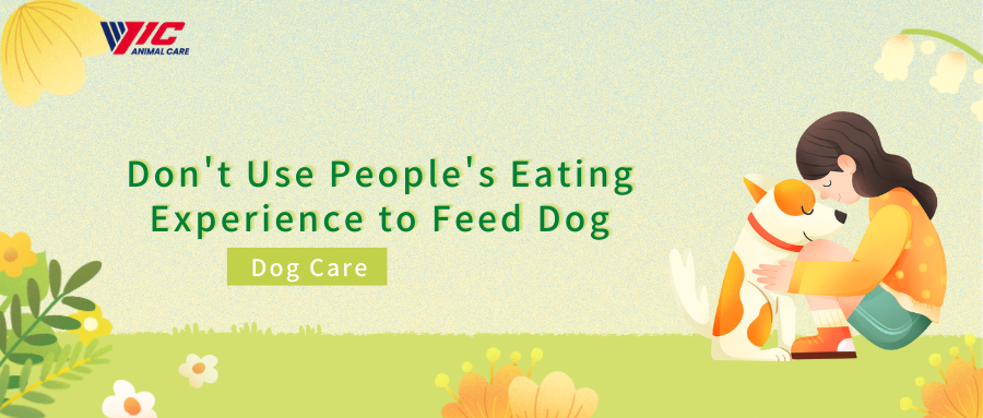 Don’t Use People’s Eating Experience to Feed Dogs