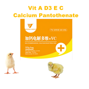 One of Hottest for China Vitamins Oral Solution for Poultry Auxiliary Health Care Heat-Cleaning and Toxin-Relieving and Appetizing