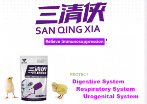 High active probiotic medicines Sanqingxia liver care for livestocks