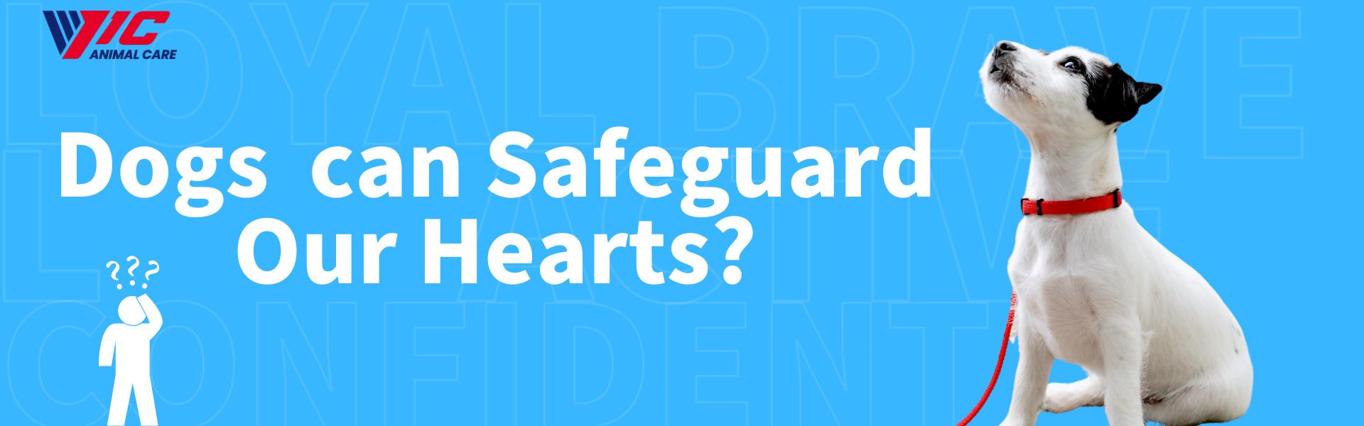 Dogs can Safeguard Our Hearts?